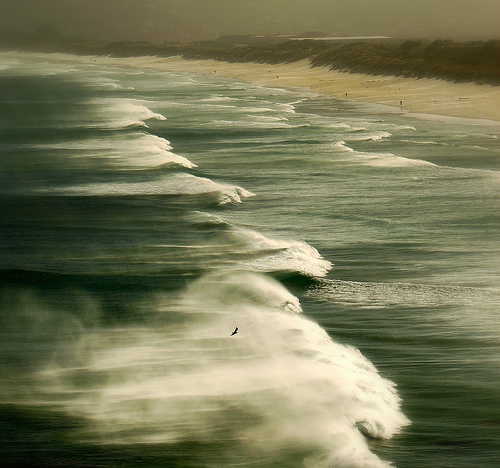 Making Waves Dunedin by _setev on Flickr